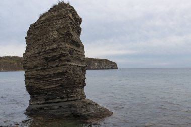 Deniz kıyısında yalnız bir kaya