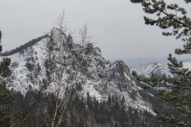 Ormandaki kayalardan dağ çıkıntıları