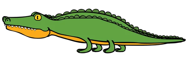 Crocodile — Stock Photo, Image