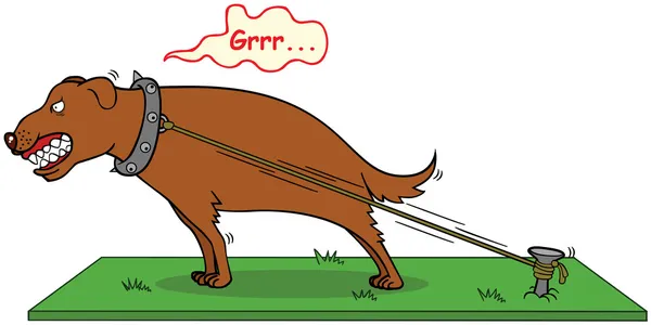 köpek asla lokma barking