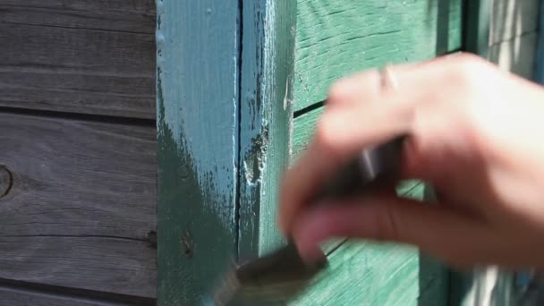 Kvinna hand måla hus — Stockvideo