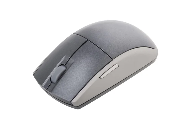 Computer mouse — Stock Photo, Image