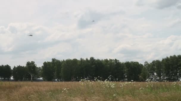 Champ en été 