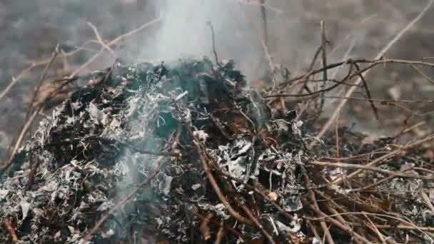 Quema de basura — Vídeos de Stock