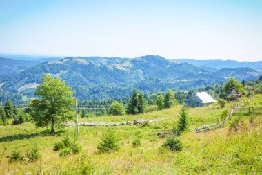 Dağlarda bir ev. Karpatlar