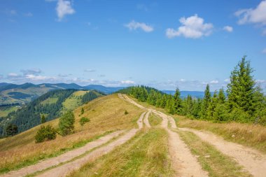 Path through the mountains. The road to the  Pysanyj stone