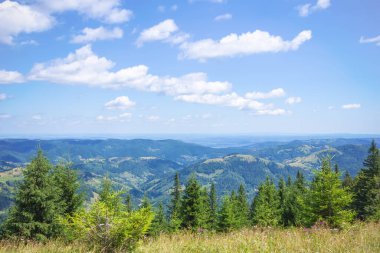 Pysanyj taşına giden yol. Karpatlar.