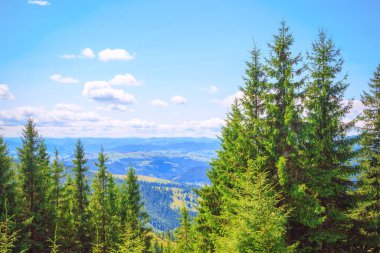 Karpatlar. Benim kulychyn 'im. Büyük Carpathian salıncağına giden yoldaki dağların manzarası