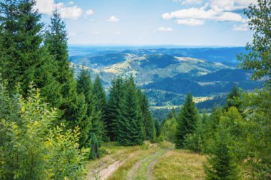 Kutsal Kitap Taşı 'na giden yoldaki dağlara bak.