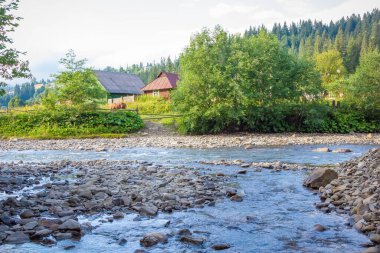 Vorokhta. Karpatlar. Yaz. Dağlarda nehir