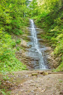 Karpatlar 'daki Luzhkovsky şelalesinin manzarası