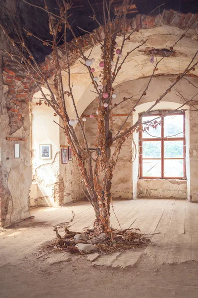 Chinadievo 'daki St. Miklos Kalesi' nde filizlenen ağaç.