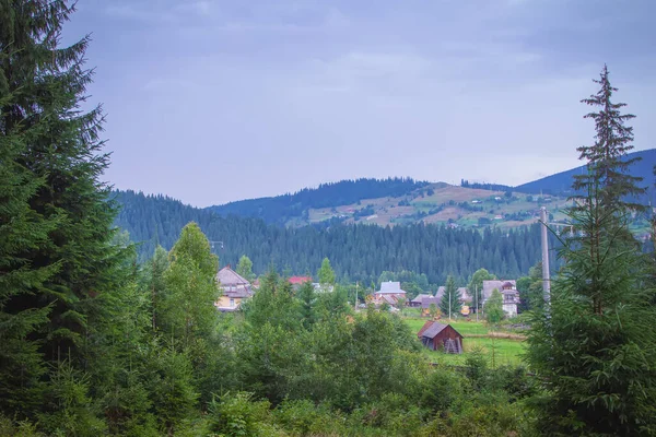 Dağlarda bir köyde söğüt. Karpatlar