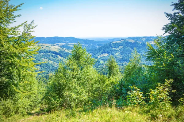 Pysanyj taşına giden dağların manzarası. Karpatlar.