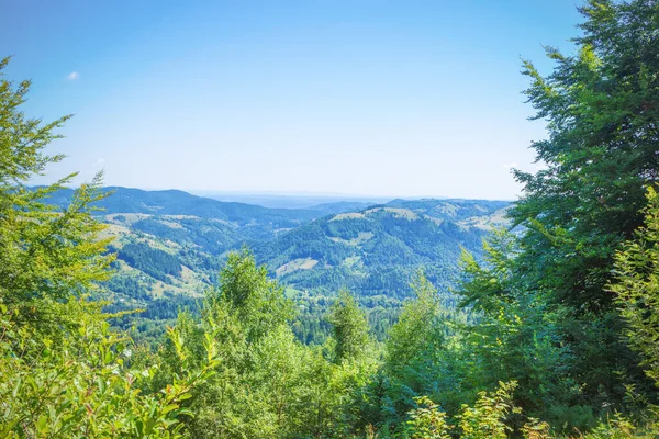 Pysanyj taşına giden dağların manzarası. Karpatlar.