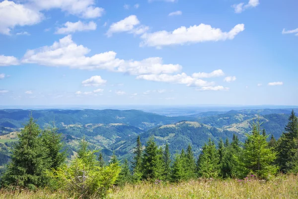 Pysanyj taşına giden yol. Karpatlar.