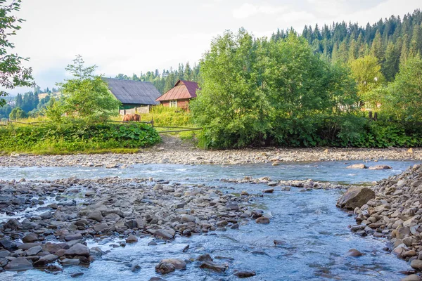 Vorokhta. Karpatlar. Yaz. Dağlarda nehir