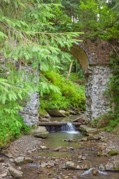 Vorokhta. Karpatlar. Yaz. Dağlarda nehir