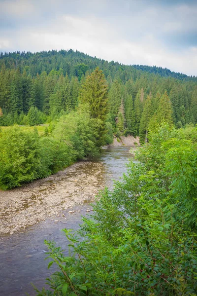 Karpatlar. Yaz. Dağlarda nehir