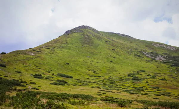 Mountain View Road Lake Nesamovyte — Stock Photo, Image