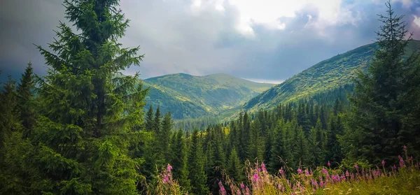 Fırtına var. Dağlardan geçerek Nesamovyte Gölü 'ne giden yol. Dağ Görünümü
