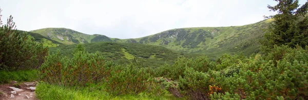 Nesamovyte Gölü 'ne giden yol. Dağ manzarası