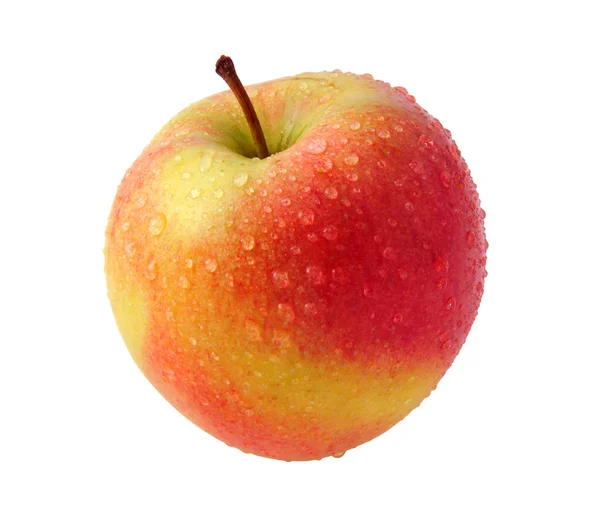 Červené jablko s kapkami — Stock fotografie