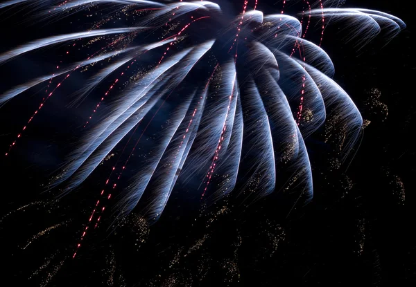 Feuerwerk am See — Stockfoto