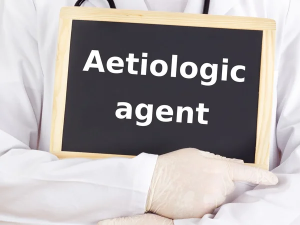 Läkare visar information: aetiologic agent — Stockfoto