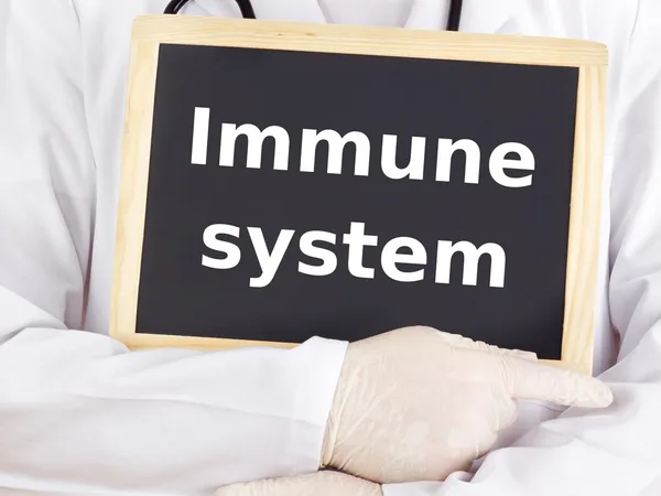 Doctor shows information on blackboard: immune system — Stock Photo, Image