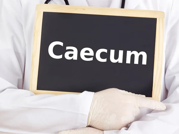 Doctor shows information on blackboard: caecum — Stock Photo, Image