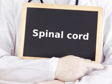 Doktor tahtaya bilgileri gösterir: spinal kord