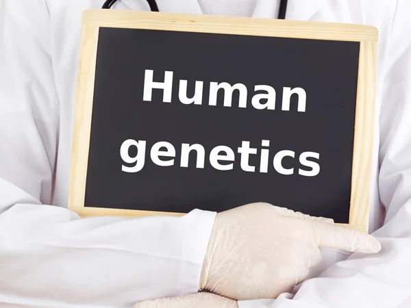 Doktor tahtaya bilgileri gösterir: İnsan Genetiği — Stok fotoğraf