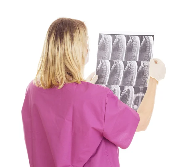 Medical doctor with radiograph — Stock Photo, Image