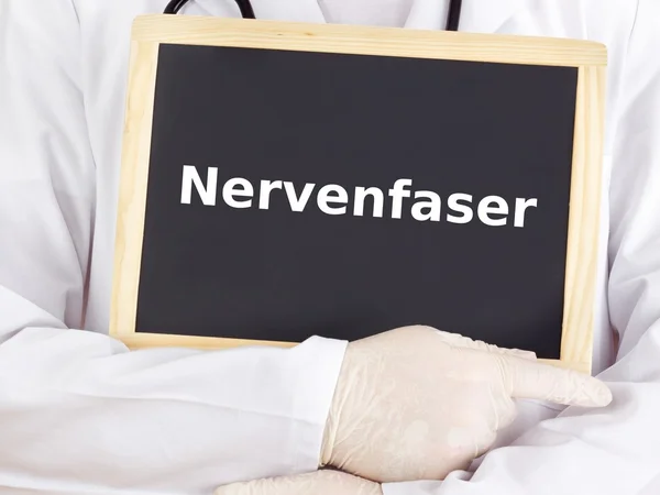 Arzt zeigt Informationen auf Tafel: Nervenfaser — Stockfoto