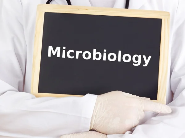 Doctor shows information on blackboard: microbiology — Stock Photo, Image