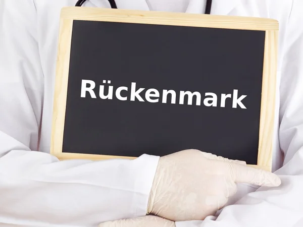 Läkare visar information om blackboard: ryggmärgen — Stockfoto