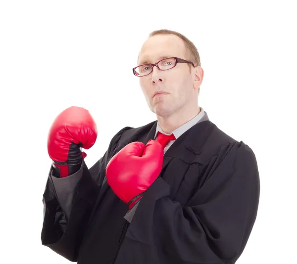 Адвокат з боксерськими рукавичками — стокове фото