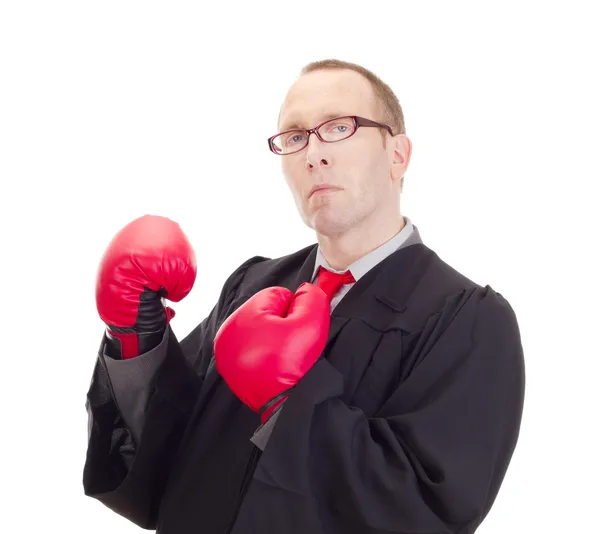 Avocat avec gants de boxe — Photo