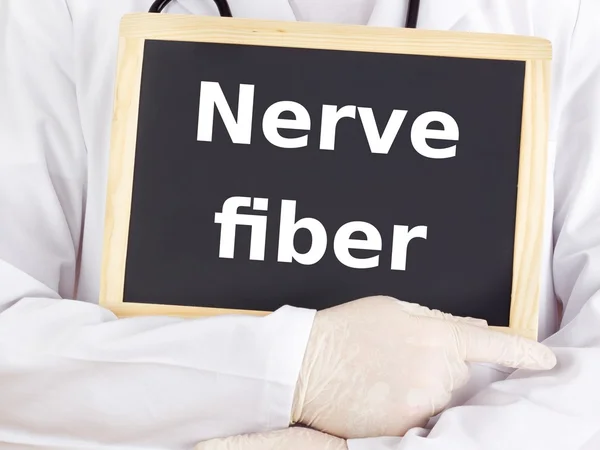 Doctor shows information on blackboard: nerve fiber Stock Picture