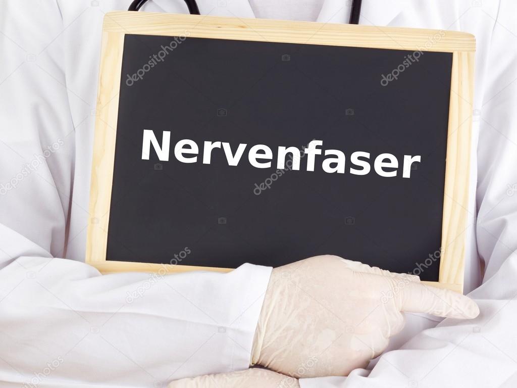 Doctor shows information on blackboard: nerve fiber