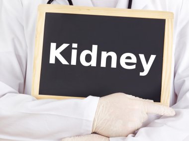 Doktor tahtaya bilgileri gösterir: böbrek