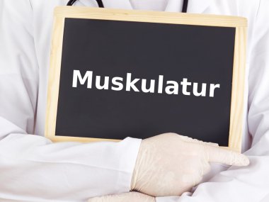 Doktor bilgileri gösterir: kas sistemi