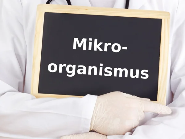 Lekarz pokazuje informacje: mikroorganizmy — Zdjęcie stockowe