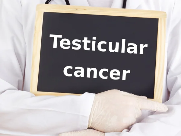 Medico mostra informazioni: cancro ai testicoli — Foto Stock