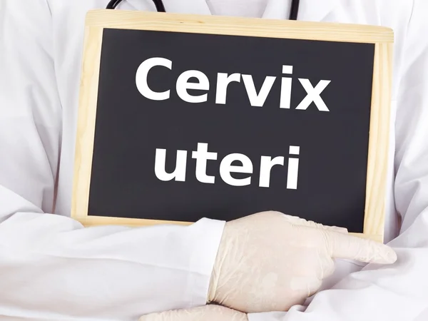 Doctor shows information on blackboard: cervix — Stock Photo, Image