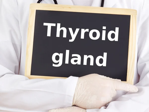 Le médecin montre des informations sur le tableau noir : glande thyroïde — Photo