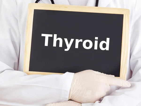 Le médecin montre des informations sur le tableau noir : thyroïde — Photo