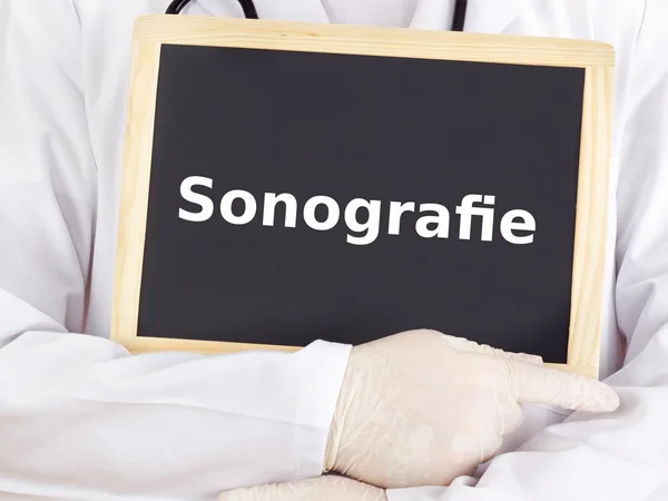 Doctor ukazuje informace: diagnostické sonografie — Stock fotografie