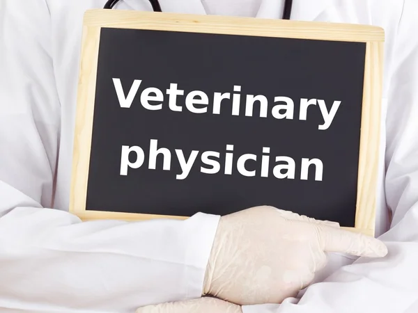 Doctor shows information on blackboard: veterinary physician — Stock Photo, Image